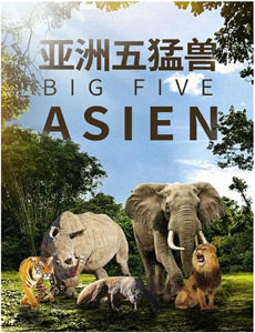 重回02死亡倒计时